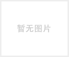 ZL-803/ZL-150百叶窗通风过滤网组